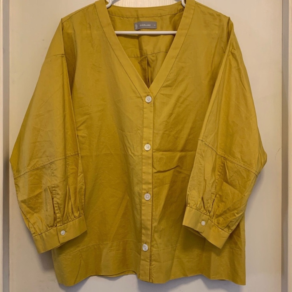 Everlane Silky Cotton Lantern Top